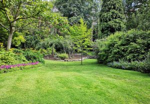 Optimiser l'expérience du jardin à Eterpigny